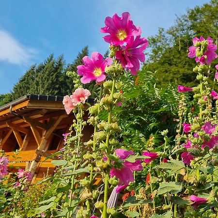 Chalet Arpitan - Les Carroz - Grand Massif Экстерьер фото