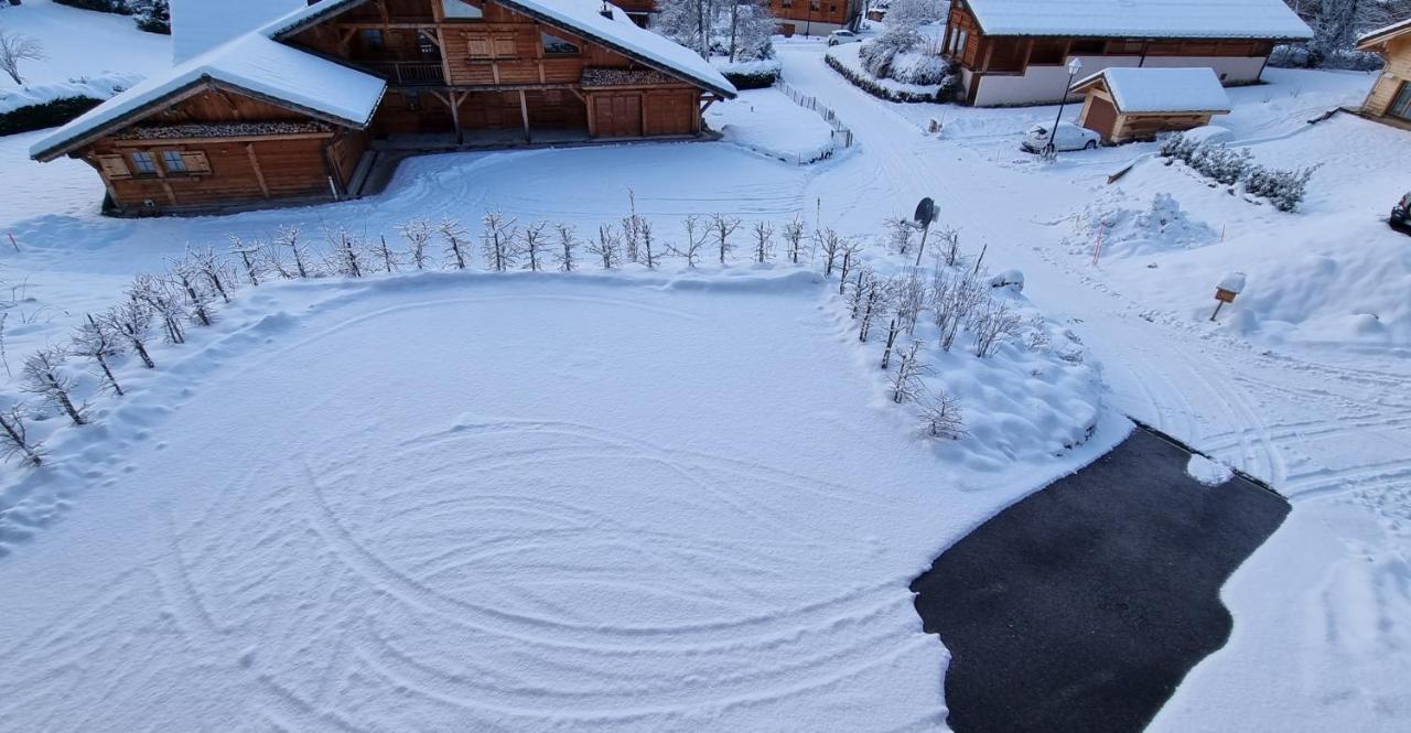 Chalet Arpitan - Les Carroz - Grand Massif Экстерьер фото