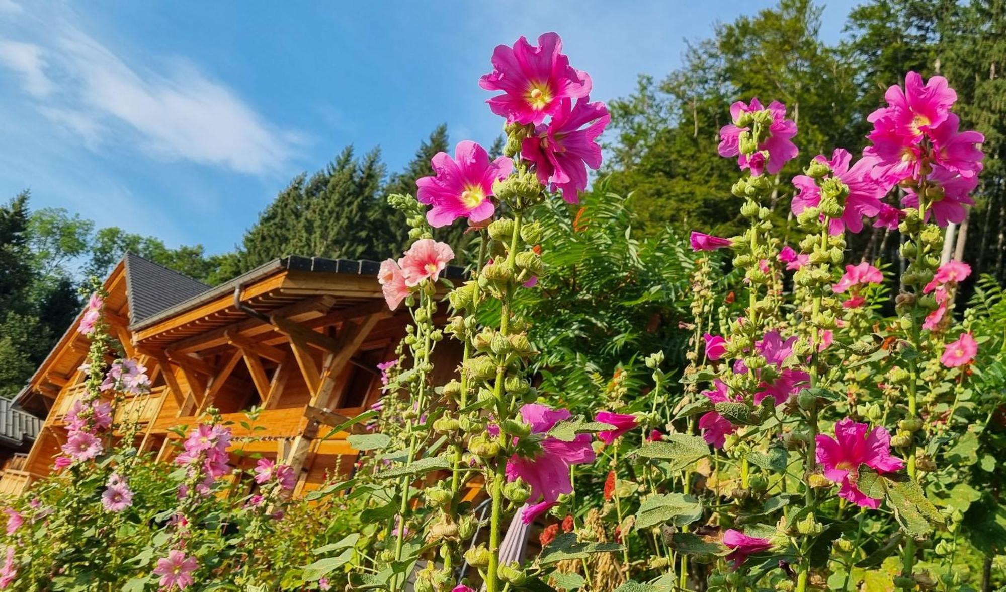 Chalet Arpitan - Les Carroz - Grand Massif Экстерьер фото